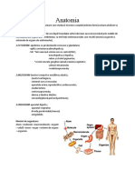 Anatomia