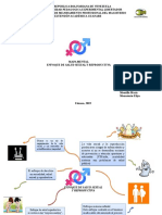 Mapa Mental de Enfoque de Genero