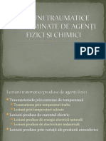 Leziuni Produse de Agenți Fizici Și Chimici