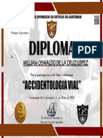 Accidentologia Vial PDF