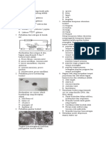 Soal TO Biologi mgmp-1