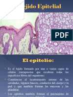 2. TEJIDO EPITELIAL.ppt