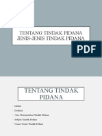 Kuliah IV - Tindak Pidana & Jenis Delik 2