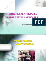 T30. Virosis en Animales Fa y Newcastle