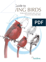 Laws-Guide-to-Drawing-Birds-Sample.pdf