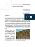introduccion DUQUE.pdf