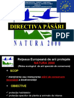 Directiva Pasari