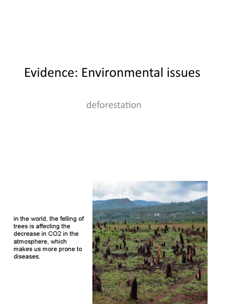 Deforestation And Its Global Impact Pdf Science Mathematics