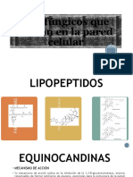 Antifúngicos Que Actúan en La Pared Celular