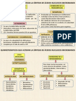 Expo Faramcologia Quimioterapicos Inh Ac Nucleicos y Antifungicos N Nucleo