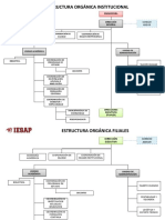 Estructura Organica Iesap PDF