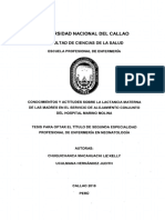 Chuquichanca y Uculmana _tesis2daesp_2018.pdf