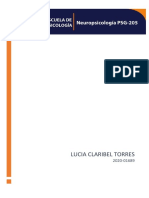 Neuropsicologia Por Lucia Torres UAPA Tarea Semana 2