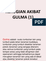 Kerugian Akibat Gulma