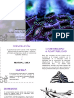 Biomimesis, Sinergia y Adaptabilidad