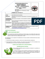 Excreción en plantas: estructuras y funciones