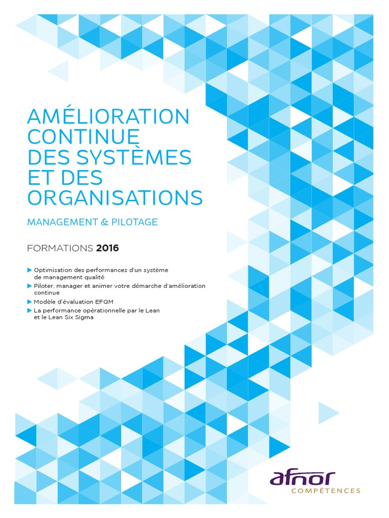 Afnor Competences Catalogue Amelioration Continue2016 | PDF ...
