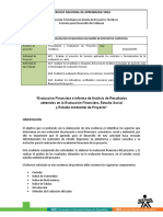 formato_evaluacion_financiera_y_analisis_de_resultados