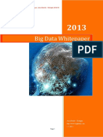 Big Data White Paper PDF