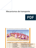 Mecanismos de transporte Texto2