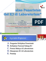 Pplpi PDF