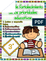 Remedial 3 Grado PDF