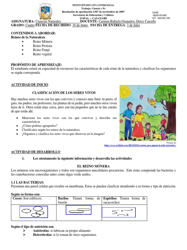 Actividades sobre Reinos de la Naturaleza | PDF | Algas | Plantas