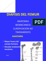 Diafisis de Femur