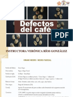 Presentación Defectos Del Cafe PDF