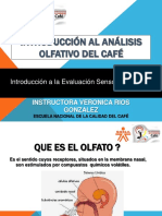 Introduccion Al Analisis Olfativo Del Cafe PDF