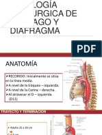 Esófago y Diafragma