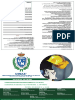 Lic Segu y Sal Ocup PDF