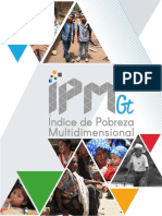Guatemala-Report-IPM-gt_29jul19-v1.1.pdf
