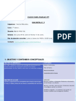 Fuerza Bueno PDF