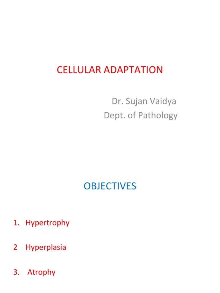 Cellular Adaptation: Dr. Sujan Vaidya Dept. of Pathology | PDF | Life ...