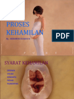 Proses Kehamilan