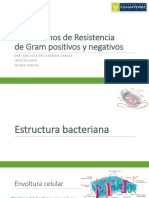 Morfología Bacteriana y Mecanismos de Resistencia PDF