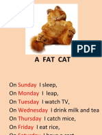 A Fat Cat Weekdays
