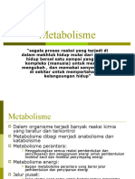 5a.Metabolisme umum