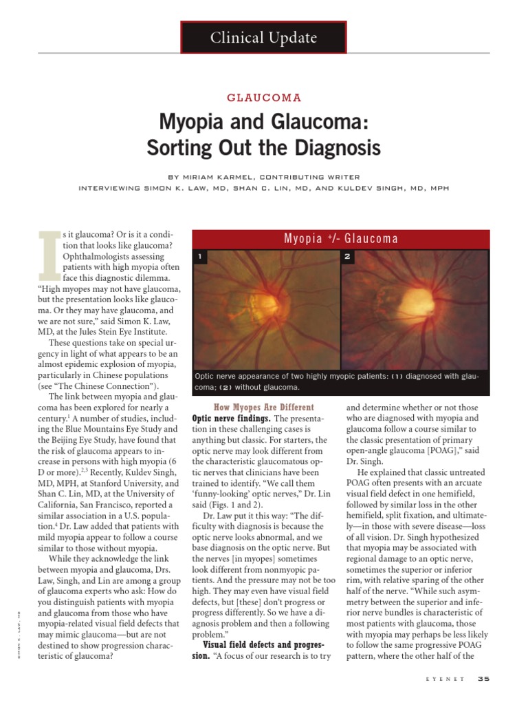 November 2013 Clinical Update Glaucoma | PDF | Glaucoma | Diseases Of ...