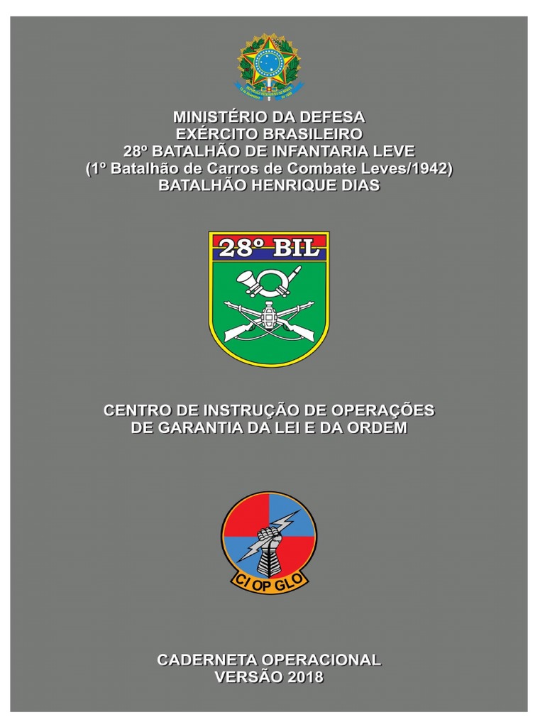 INSTRUÇÃO DE GARANTIA DA LEI E DA ORDEM (GLO) - 2º Grupo de