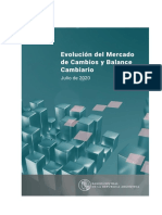 Informe Julio 2020 PDF