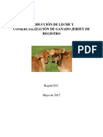 FORMATO DE PROYECTO PRODUCTIVO.pdf