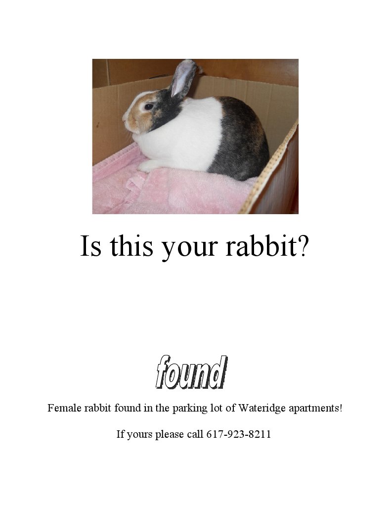 Rabbit | PDF