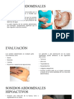 Auscultación Abdominal