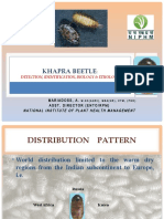 Khapra Beetle: Detection, Identification, Biology & Ethology