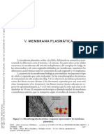 PerezMariaAleja 2013 VMEMBRANAPLASMATICA BiologiaCelularEnLasC