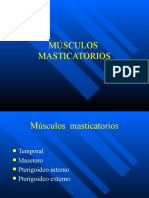 Músculos masticatorios