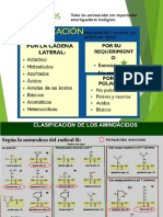 Aminoácidos PDF