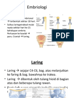 laringitis,,